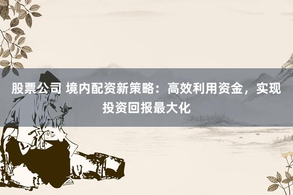 股票公司 境內配資新策略：高效利用資金，實現(xiàn)投資回報最大化
