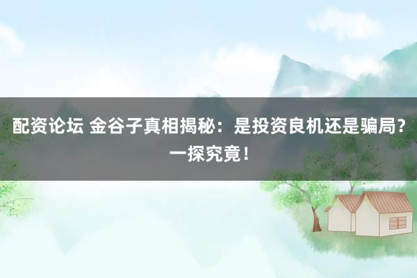 配資論壇 金谷子真相揭秘：是投資良機(jī)還是騙局？一探究竟！