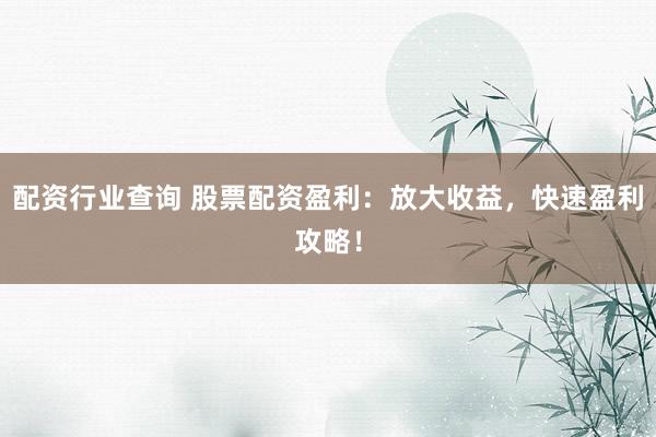 配資行業(yè)查詢 股票配資盈利：放大收益，快速盈利攻略！