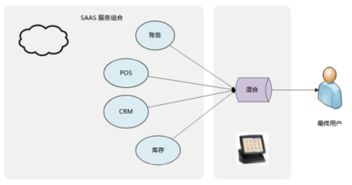 中小服飾企業(yè)應該選麗晶軟件的哪種erp合適